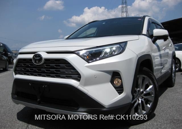 2019 TOYOTA RAV4