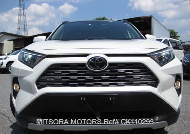 
								2019 TOYOTA RAV4 full									