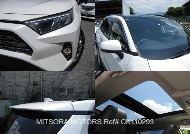 
								2019 TOYOTA RAV4 full									