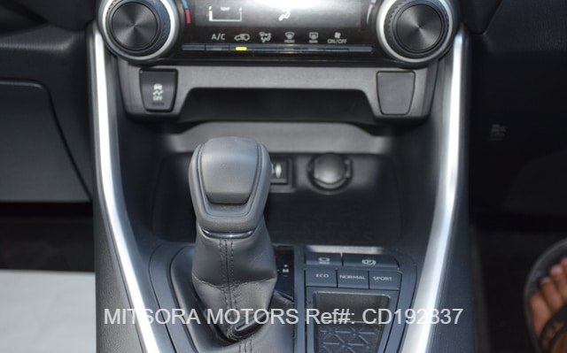 
								2019 TOYOTA RAV4 full									