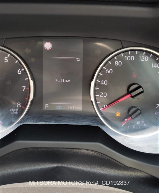 
								2019 TOYOTA RAV4 full									