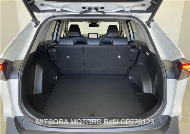 
								2022 TOYOTA RAV4 full									