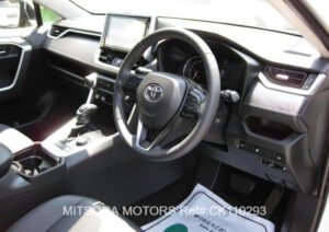 2019 TOYOTA RAV4