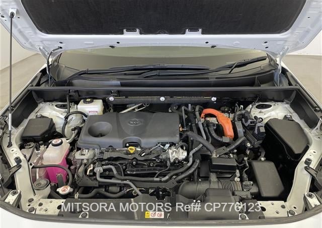 
								2022 TOYOTA RAV4 full									