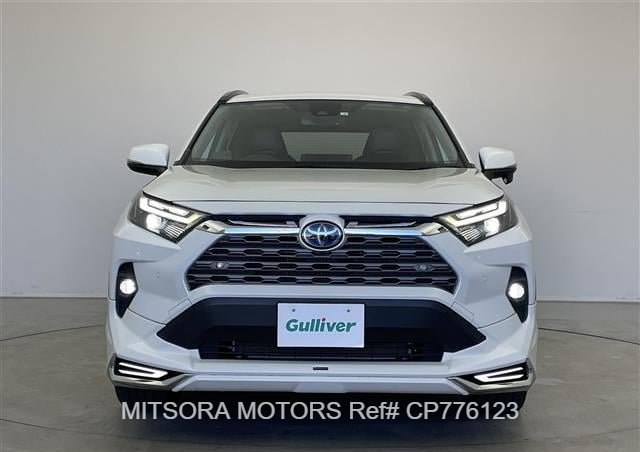 
								2022 TOYOTA RAV4 full									