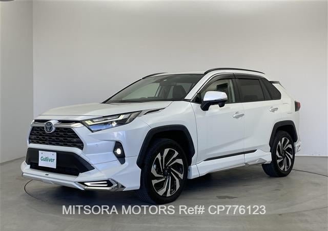 
								2022 TOYOTA RAV4 full									