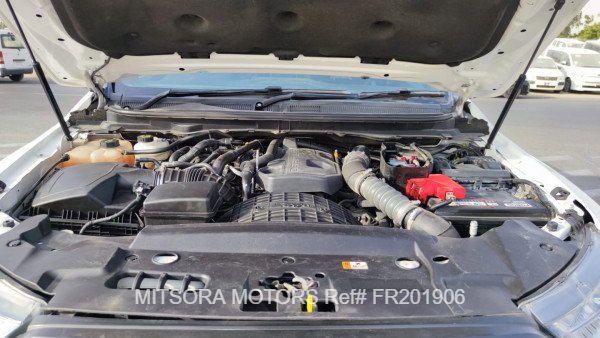 
								2019 FORD RAPTOR full									