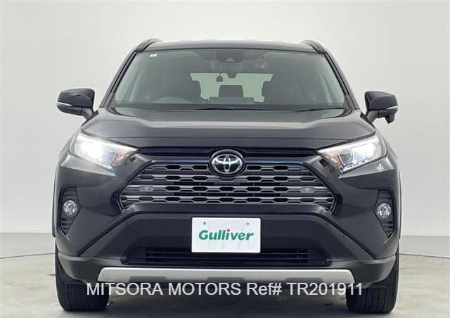 
								2019 TOYOTA RAV4 full									