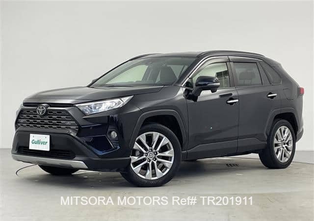 2019 TOYOTA RAV4