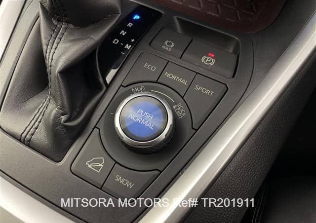 
								2019 TOYOTA RAV4 full									