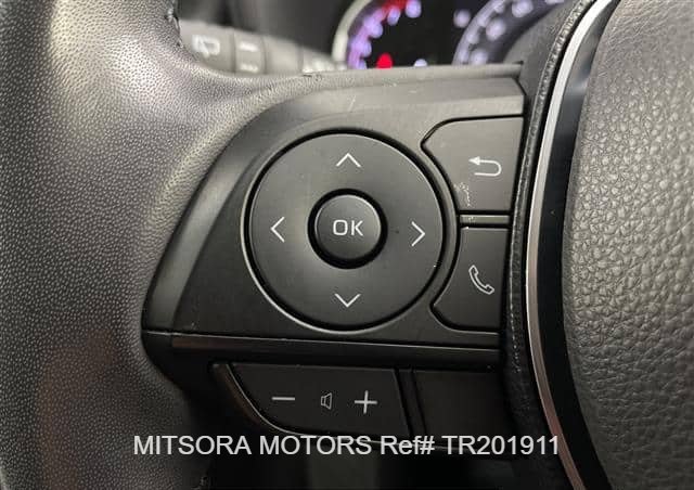 
								2019 TOYOTA RAV4 full									