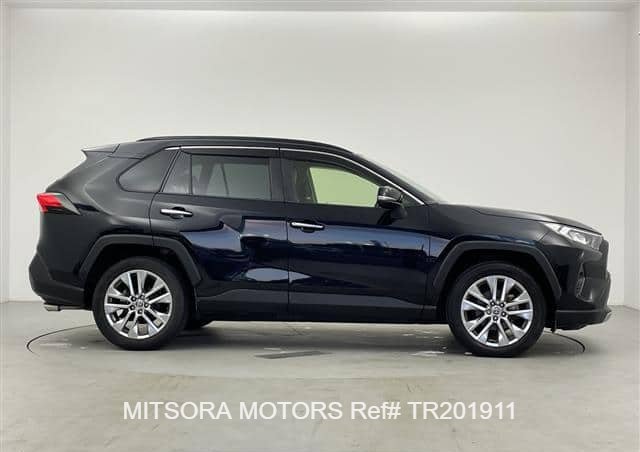 
								2019 TOYOTA RAV4 full									