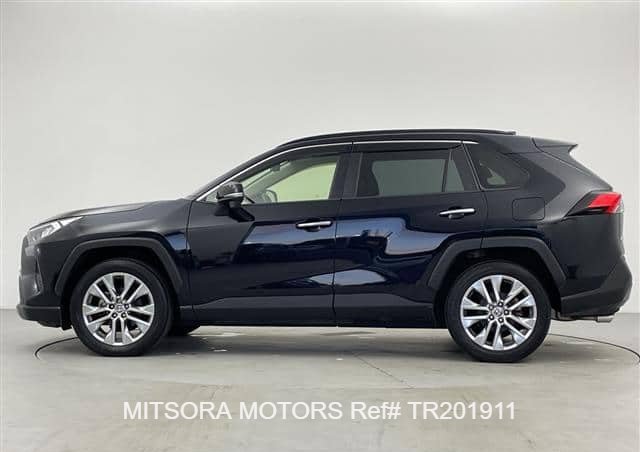 
								2019 TOYOTA RAV4 full									